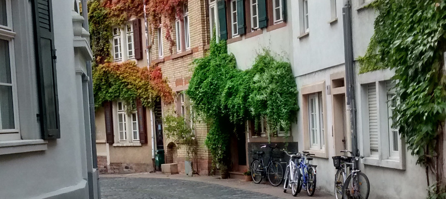 Altstadt Heidelberg